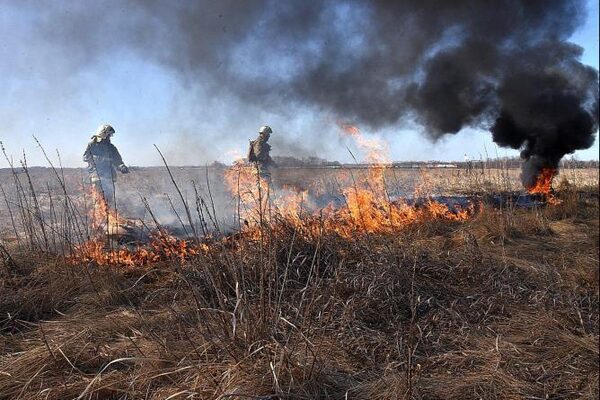 В Югре введен режим ЧС из-за природных пожаров