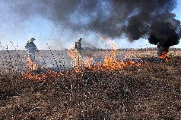 В Свердловской области в 20 раз сократилась площадь природных пожаров