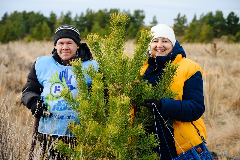 Fix Price высадил 8000 хвойных деревьев под Магнитогорском